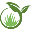 Bainbridge Island Lawn Clean Up