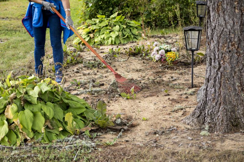 Landscaping Cleanup Service