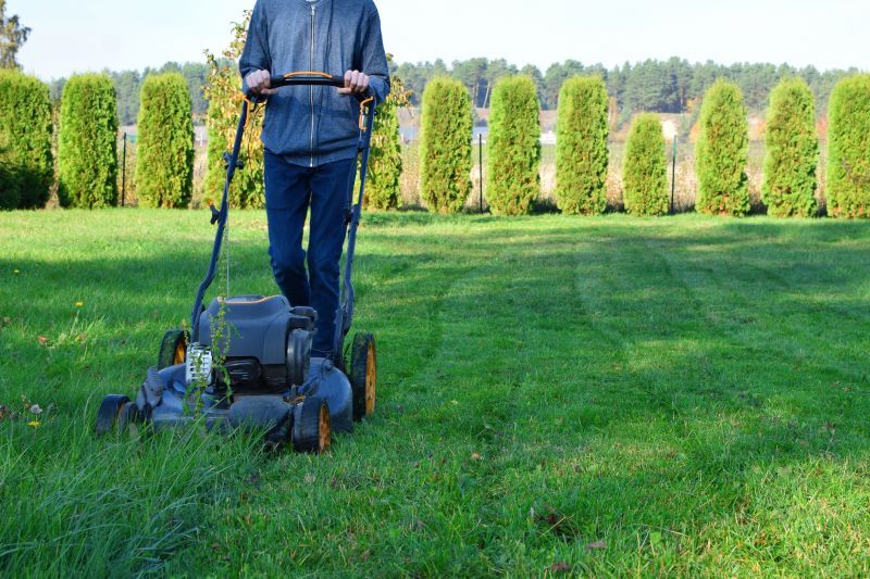 Mid-season lawn maintenance