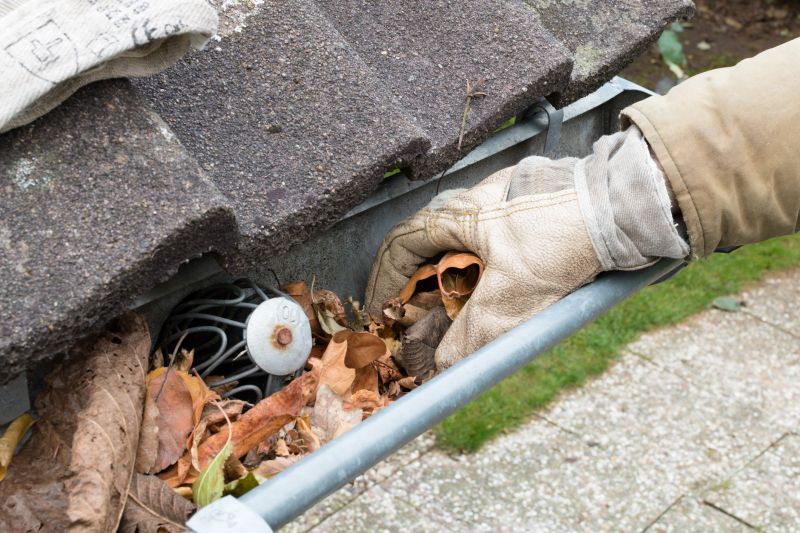 Gutter and Roof Debris Cleanup