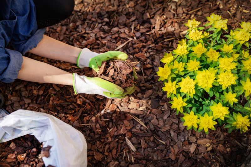 Leaf Mulching Service