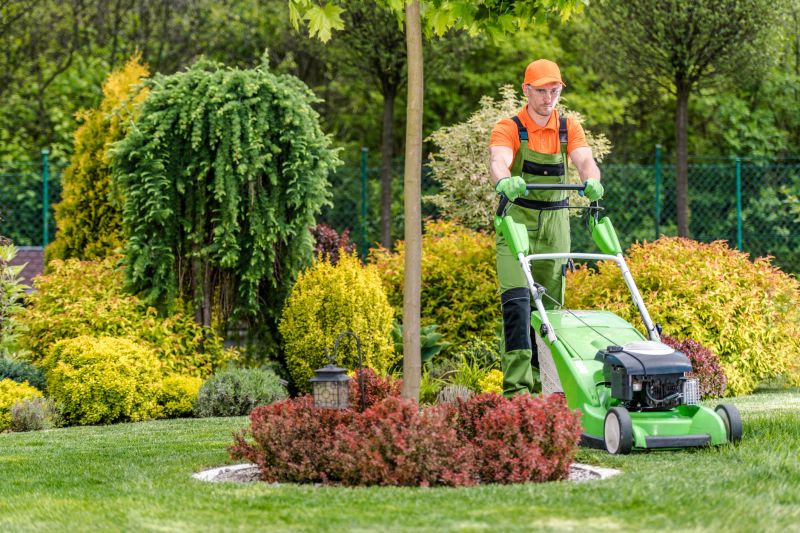 Customized lawn care plans