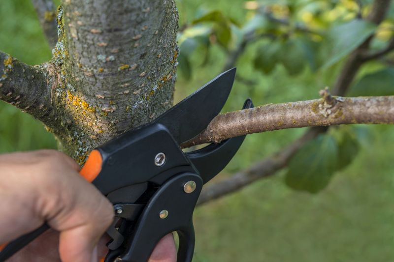 Tree limb pruning