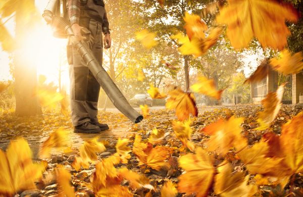 Cost of Leaf Blowing Service in Bainbridge Island